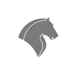 ایران خودرو